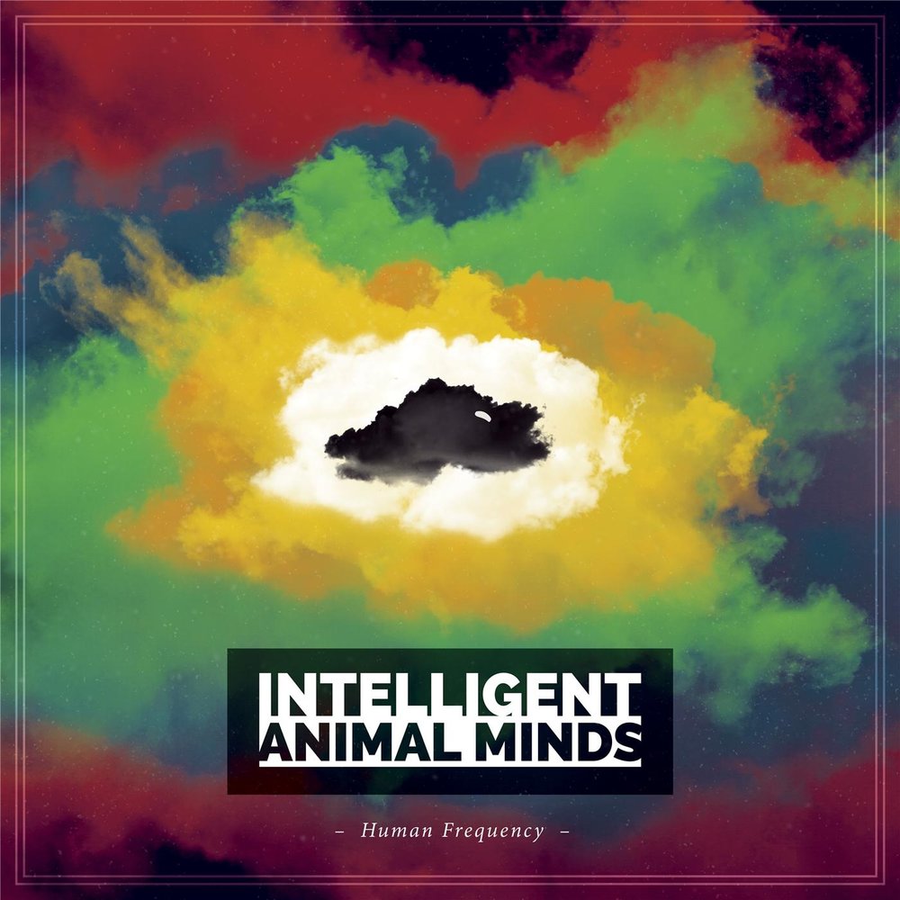 Human ethic. Animal mind. Suspects животные. Animal mind. Minding animals.