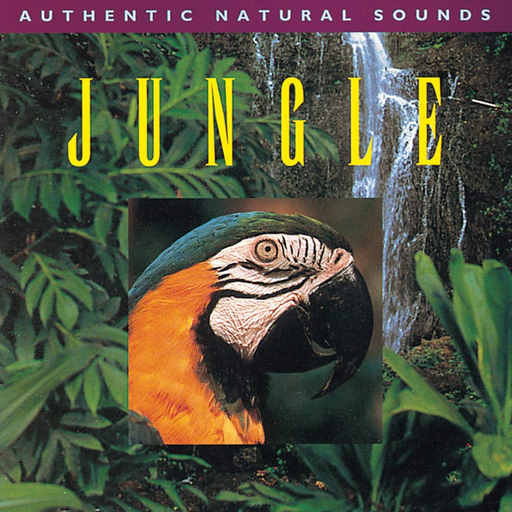 Jungle музыка