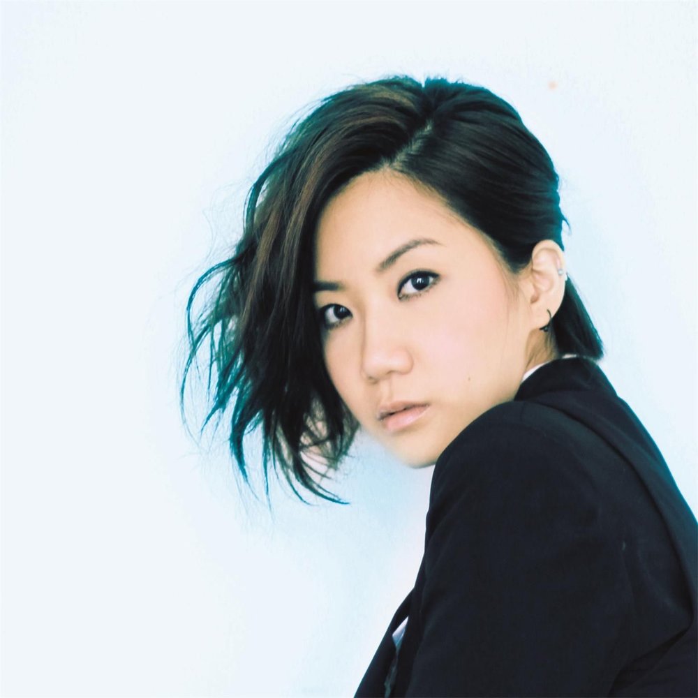 Инициали и финали в китайском. Фото джен босюя. Постер а3. Shi bu shi. Шибуши.