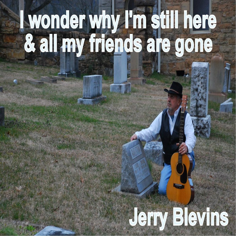 I wonder why. I Wonder why песня. All my friends are gone. I wanted to say Goodbye to Jerry but he.