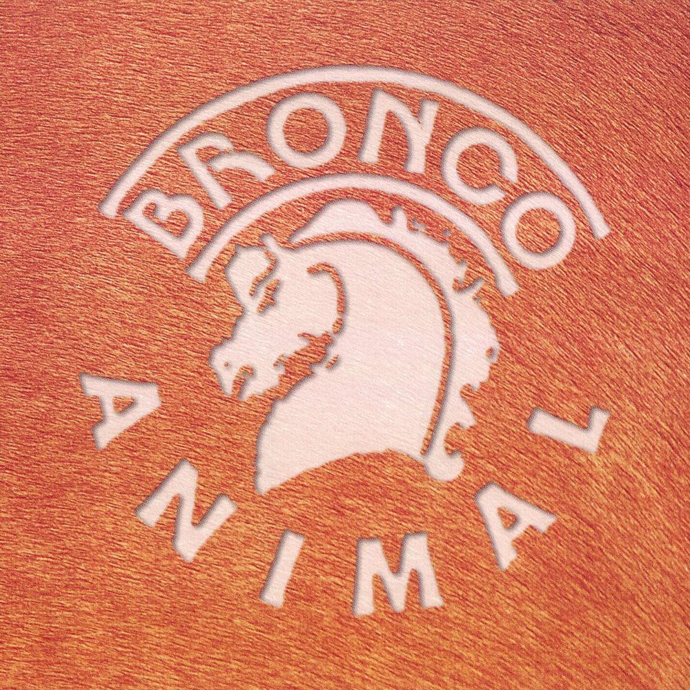 Listen to the animal. Bronco animal.