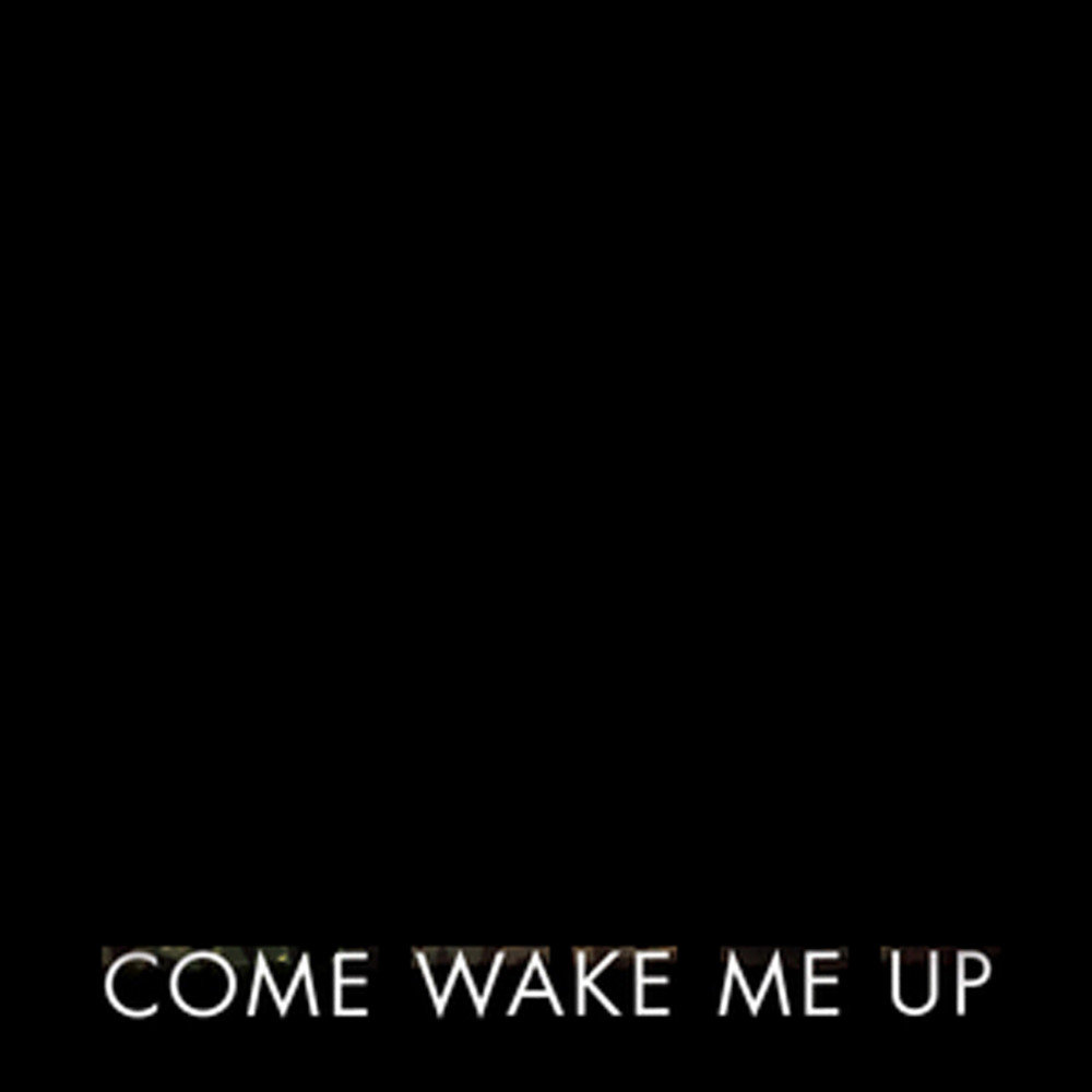 Come wake me up. I'M A Dream песня. Dont Wake me up im not Dreaming Song.