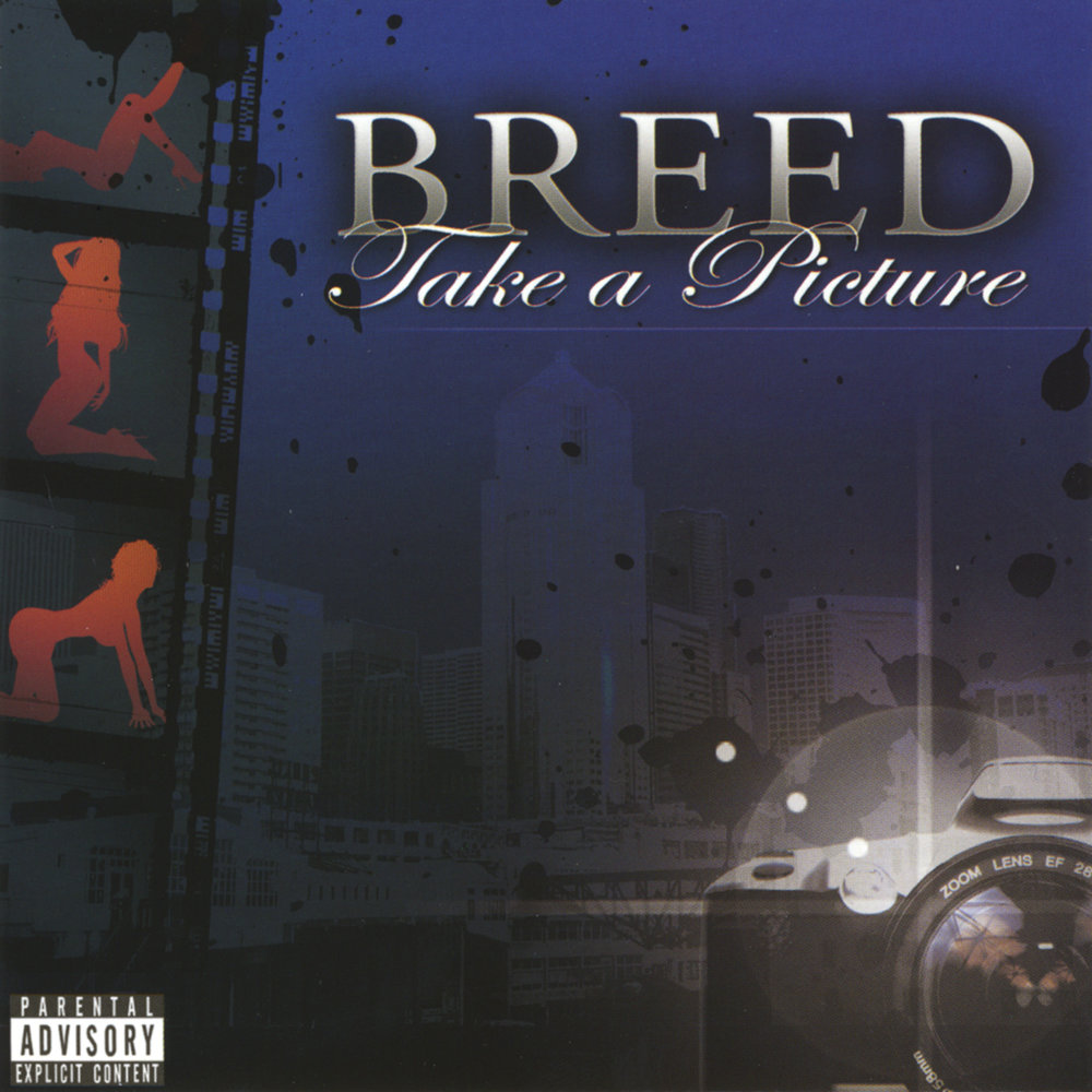Песни breed. Песни breed. Music in my blood. Песни breed. In my blood.