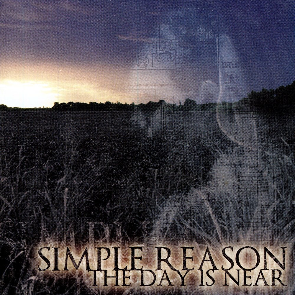 Simplicity 7998. For the simple reason. Яйца падают. Reason песня. Quotes from past.