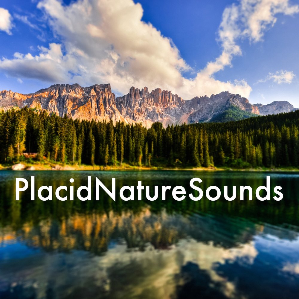 Nature sounds relaxing. Relaxing Sounds of nature. Sounds of nature. Placid nature. Stream nature.