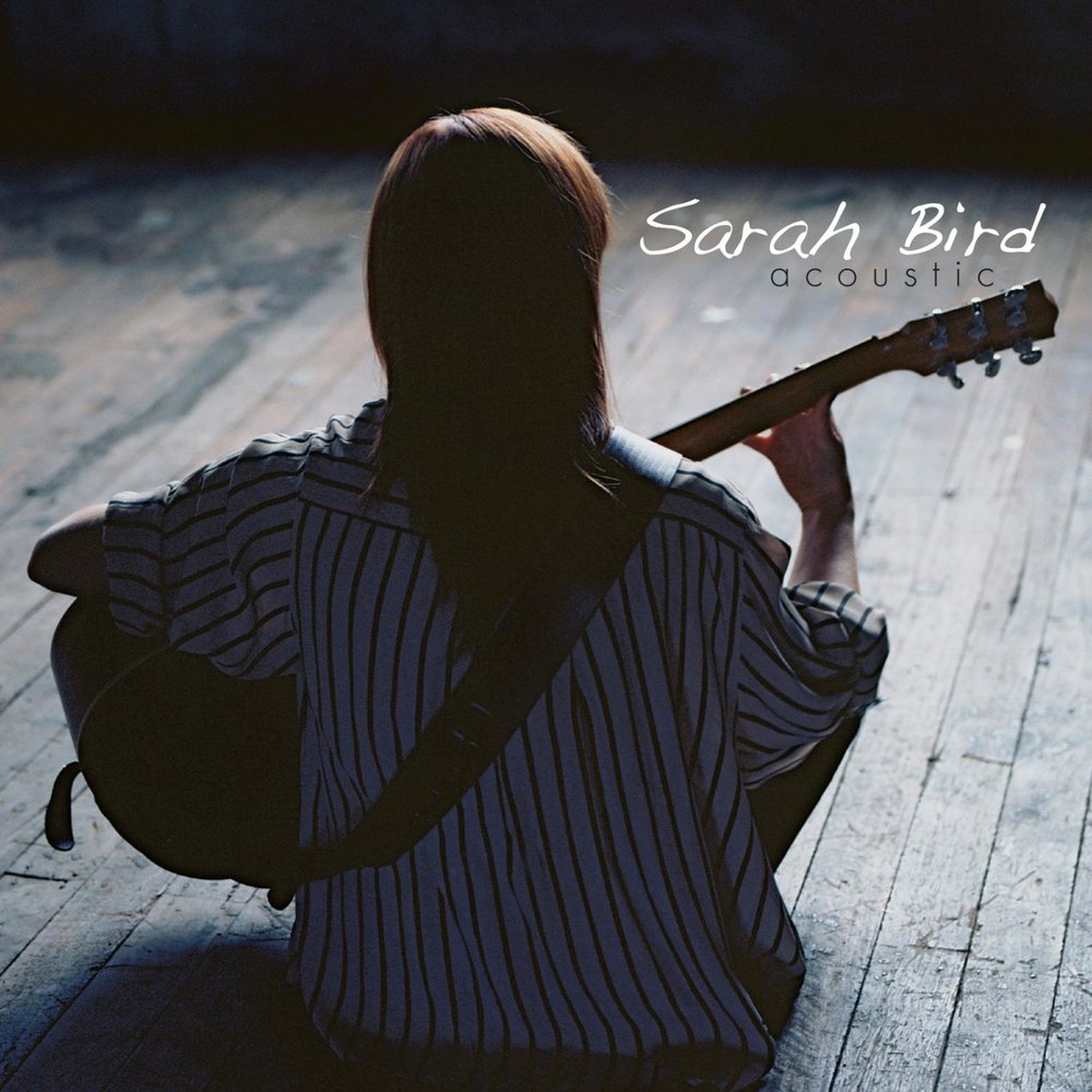 Слушать sarah. Bird слушать музыку. SIRTHING Bird песня. Surfingbird песня.