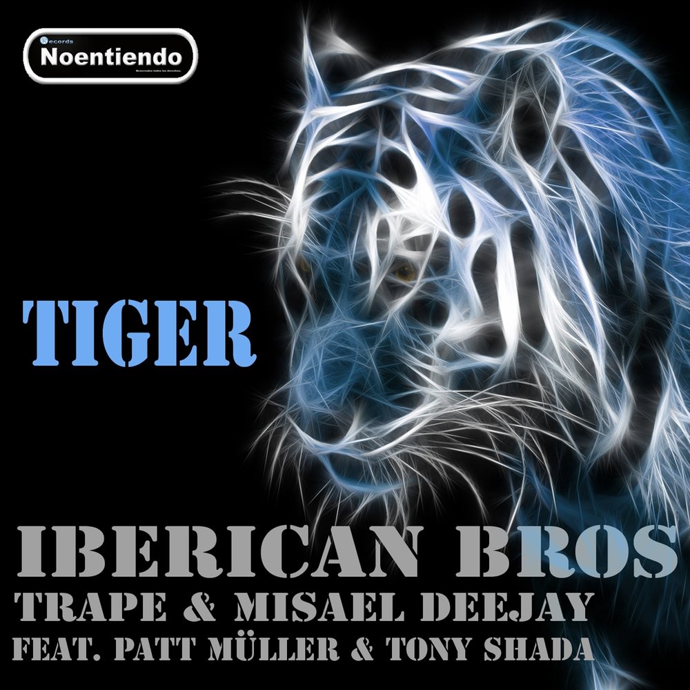 Тайгер слушать. Тигр певец. Музыкальный тигр. & Tiger альбом. Тигр в темноте.