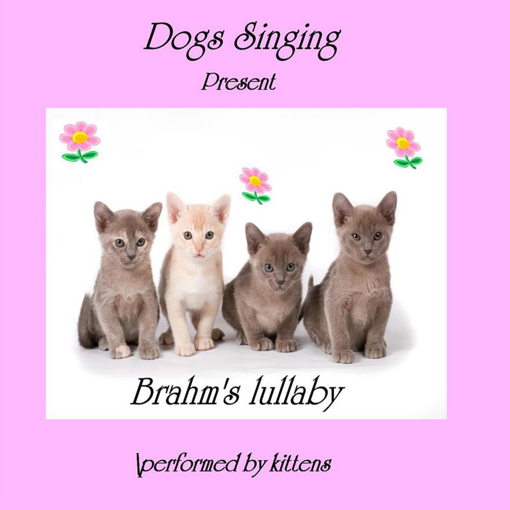 Sing lullaby. Dog Sings. Cat Dog Sing Lil-ty. Singing Dog. Cat Dog Sing Lilty.