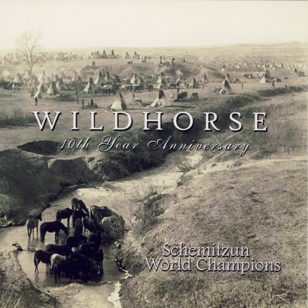 Песня wild horses