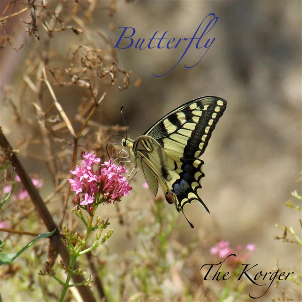 Бабочка песня слушать гагарина. Butterfly песня. Баттерфляй песня. New age album with a Butterfly. Its Butterfly песня.