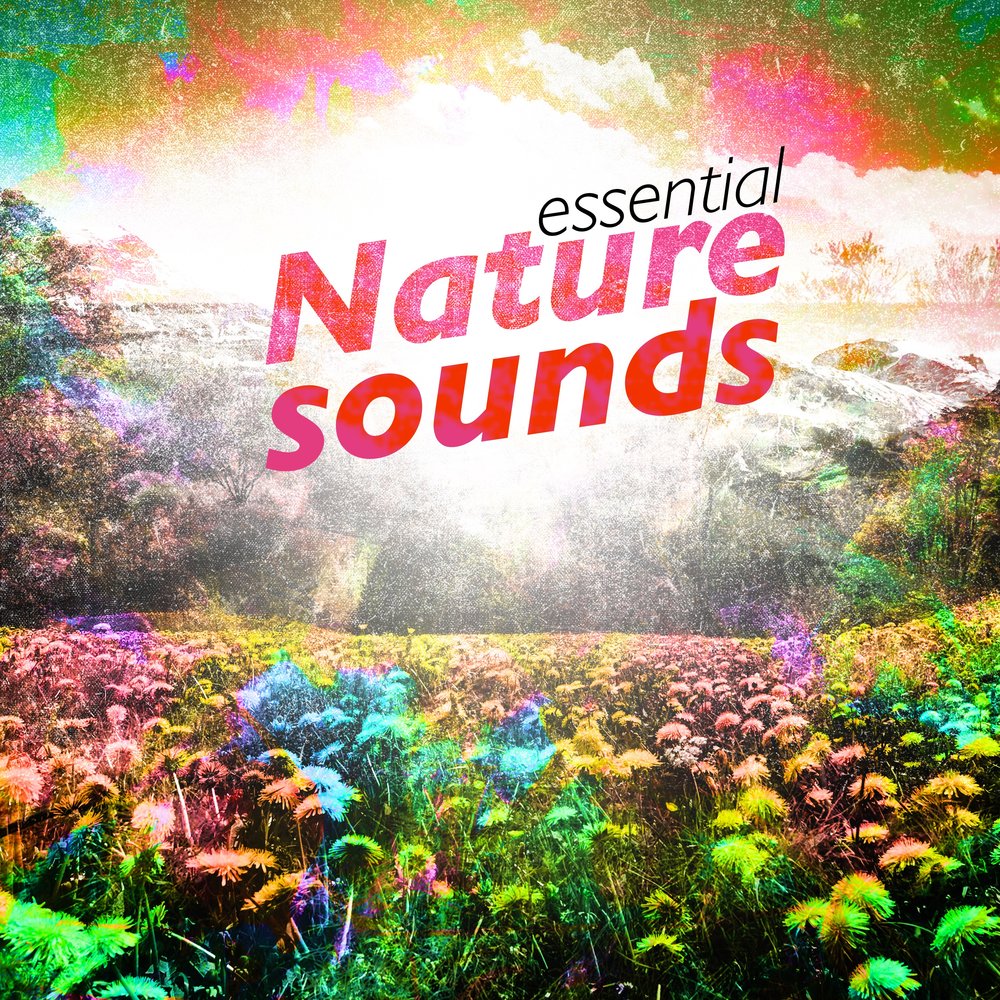 Naturals sounds. Sounds great. "Nature Sounds" && ( исполнитель | группа | музыка | Music | Band | artist ) && (фото | photo).