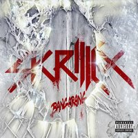 Skrillex Right In - Скачать Mp3 Песню Бесплатно И Слушать Онлайн