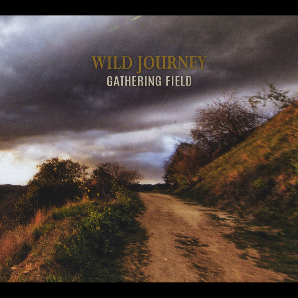 Gathering winds. Wild Journey. Wild Journey 18.