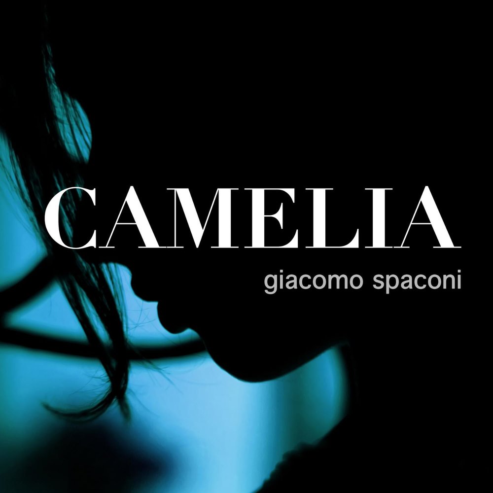 Камелия слушать. Camellia album. Камелия музыка. Camellia Music.