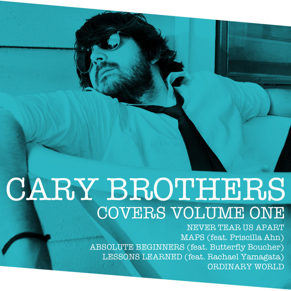 cary brothers lovin on you torrent