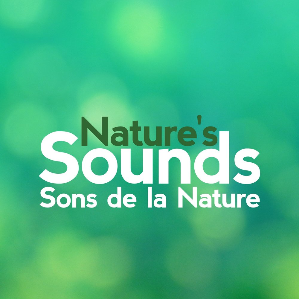 Naturals sounds. Sounds of nature. Natural Sounds.