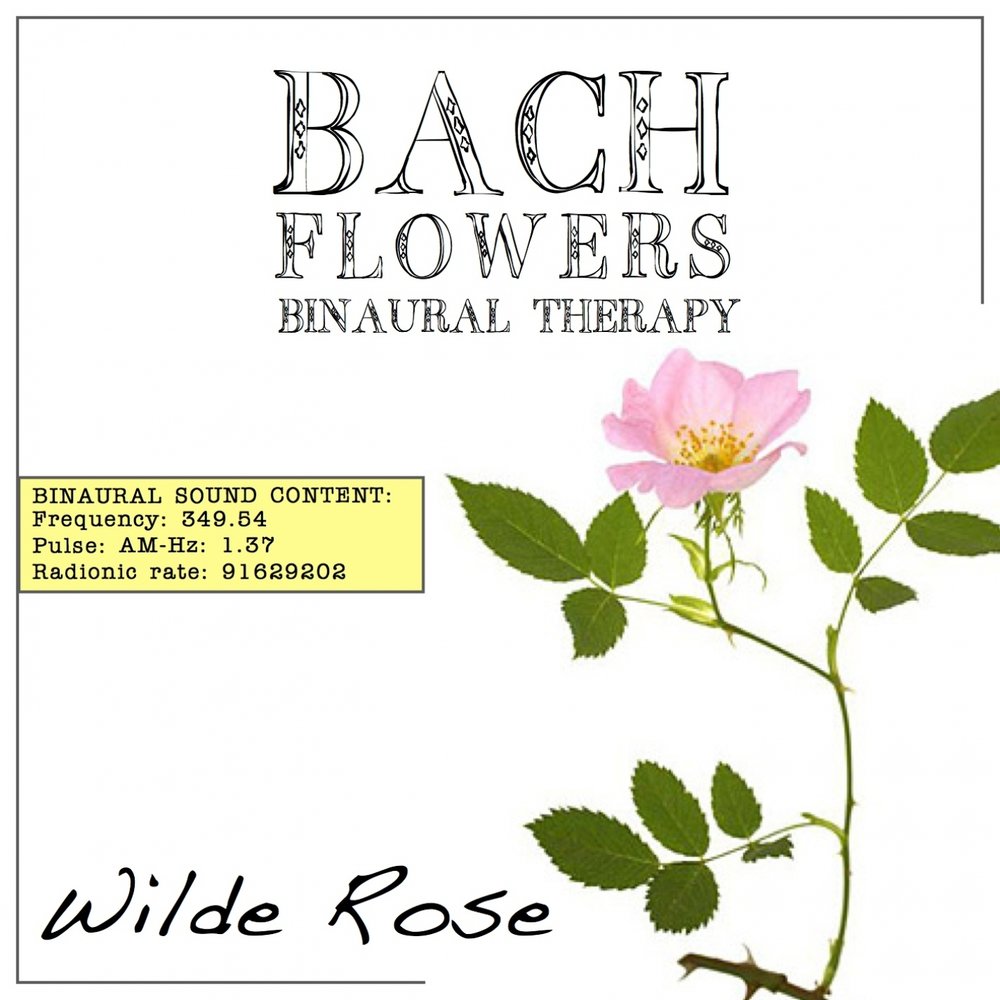 Bach Flowers. Треки цветы Баха. Цветы Бах творит альбом.