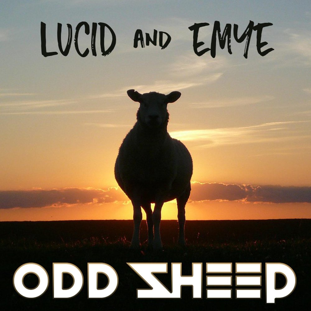 Sheep lyrics