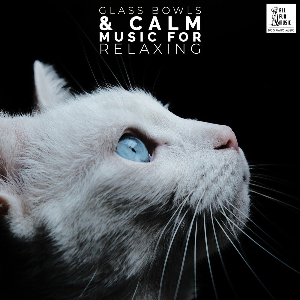 Music for cats. Calming Music for Cats.