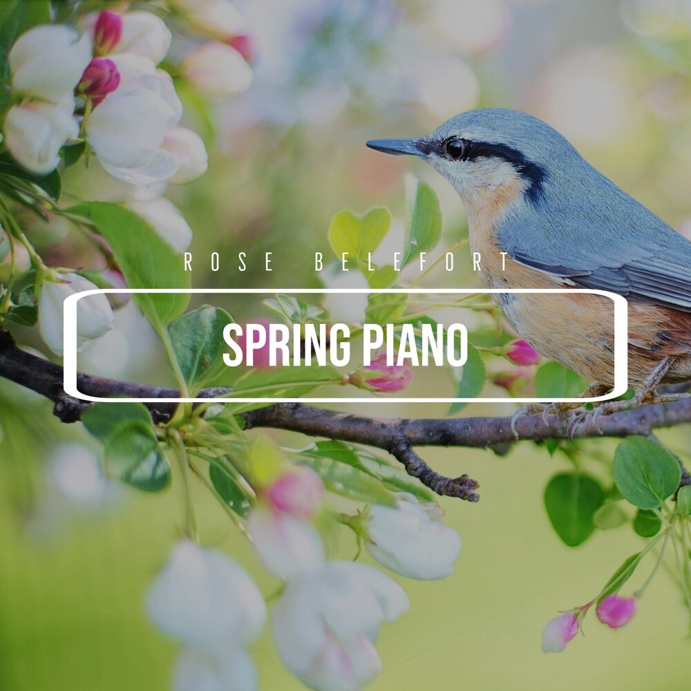 Пианино и пианист. Классический концерт. Spring piano. Фортепиано весна сад. Состоится прослушивание первоклассников в музыкальную школу.