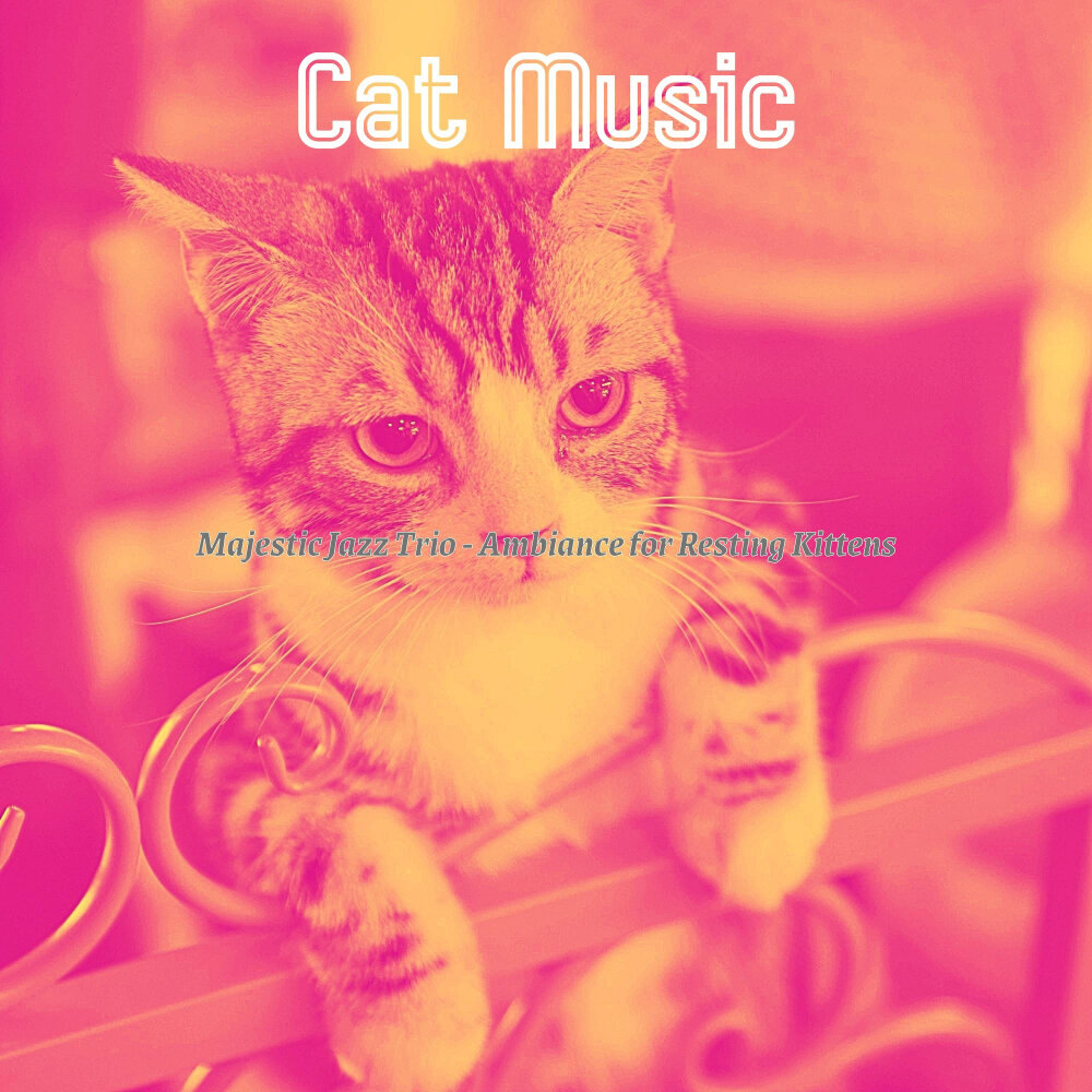 Кэтс песня. Кэт Мьюзик. Cute Cat. Музыка. Music Therapy for Cats. Cat with Music.