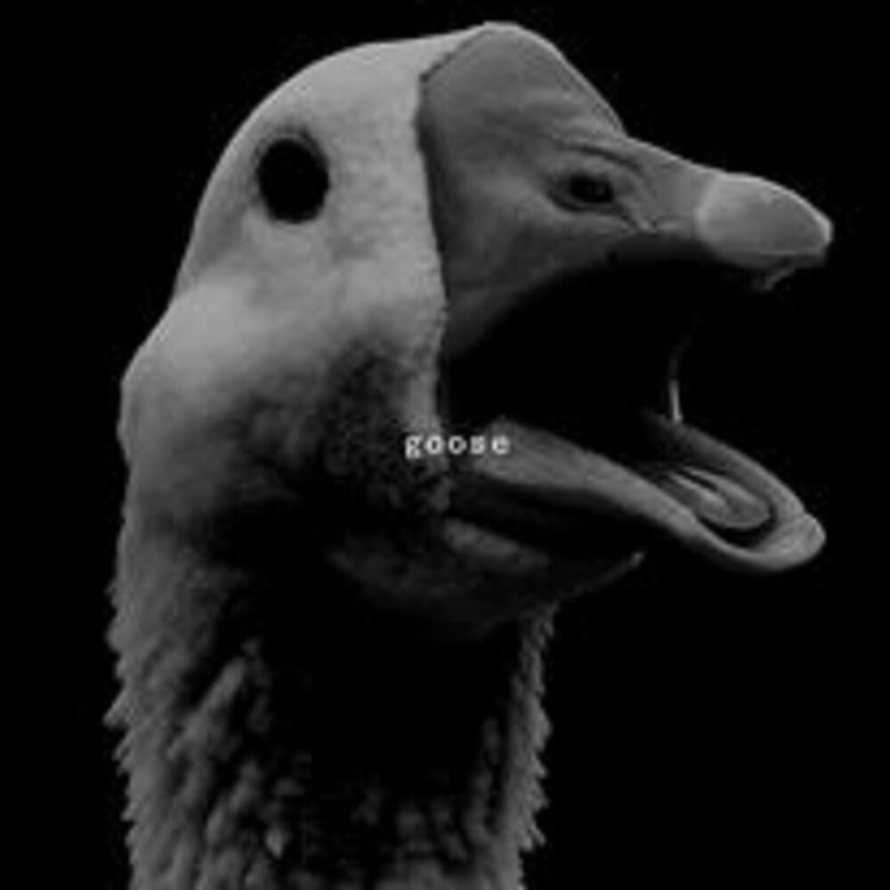 Goose песня. Goose песня