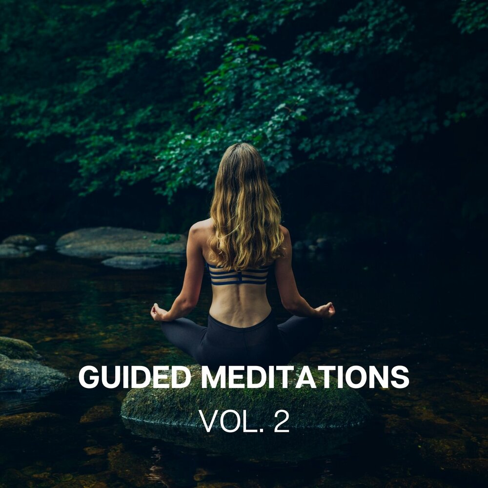 Guru meditation 0db732