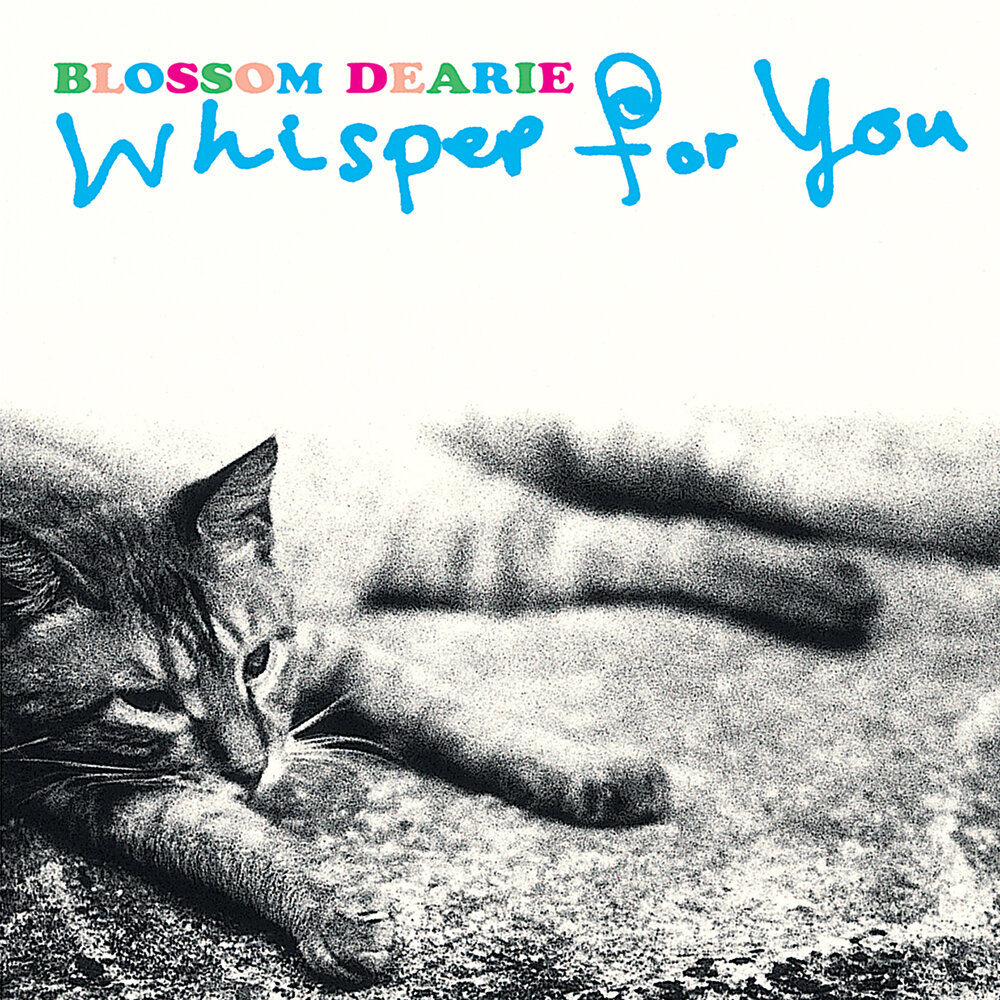 Whisper for nothing. Blossom Dearie. Ready to Blossom in the morning.