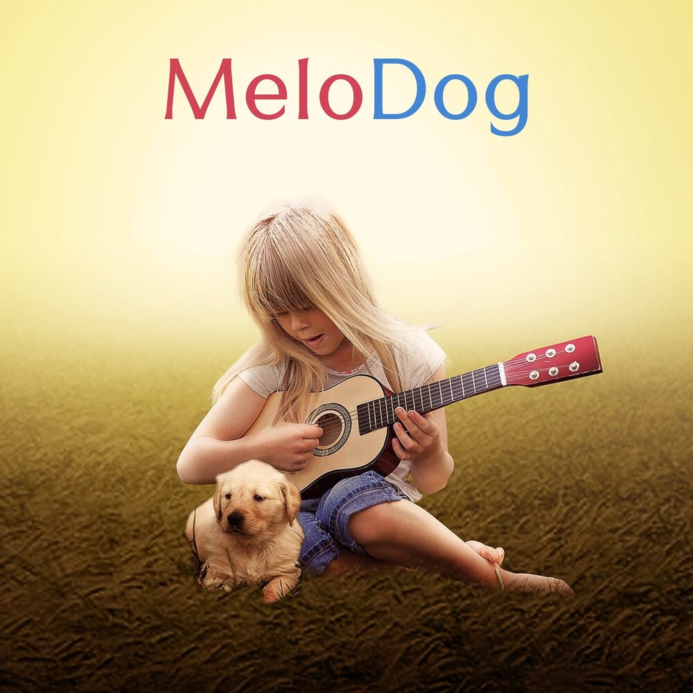 Music pets. Собака с гитарой. Девушка с гитарой собака. Пёс с гитарой. Девочка с гитарой и собакой.