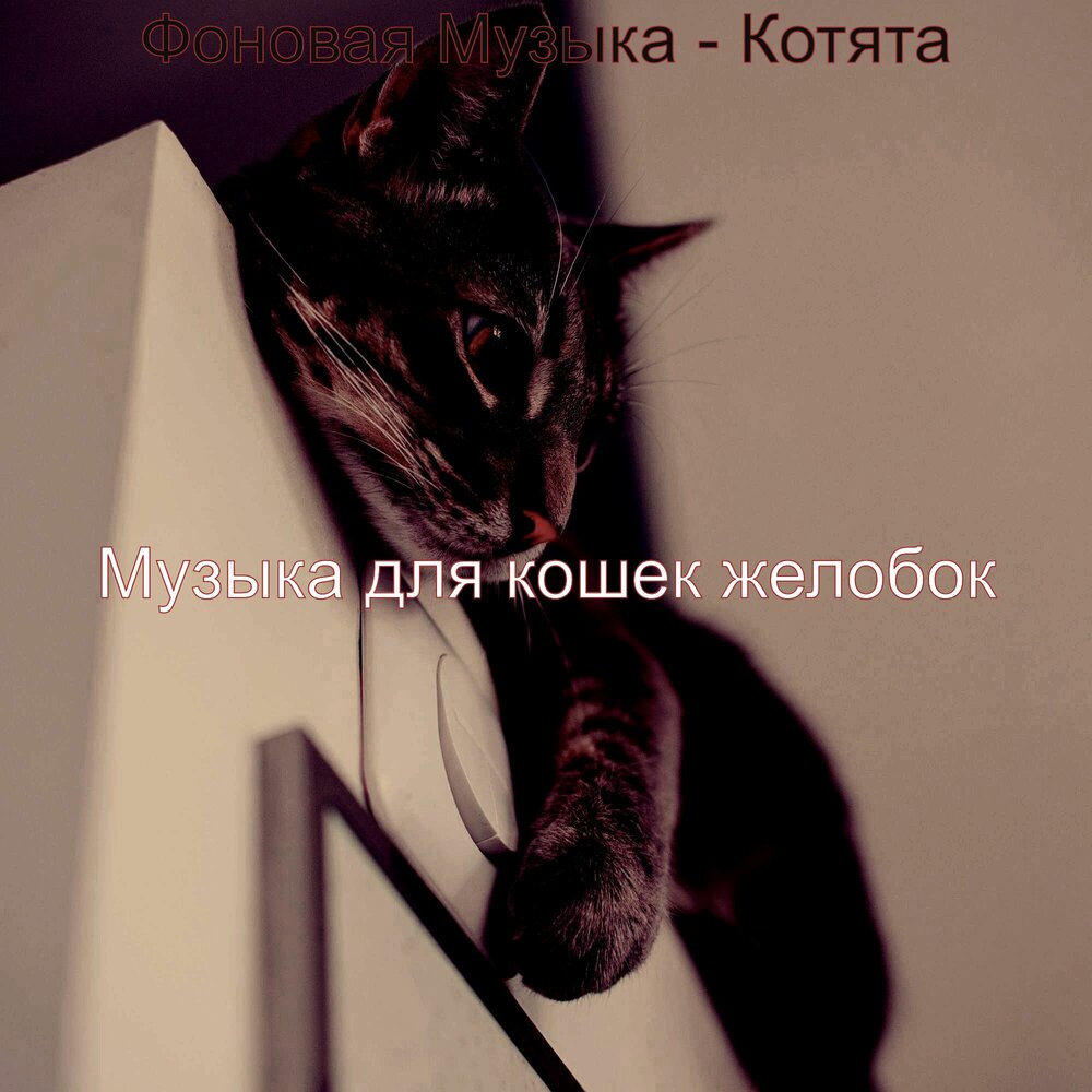 Музыка для котят