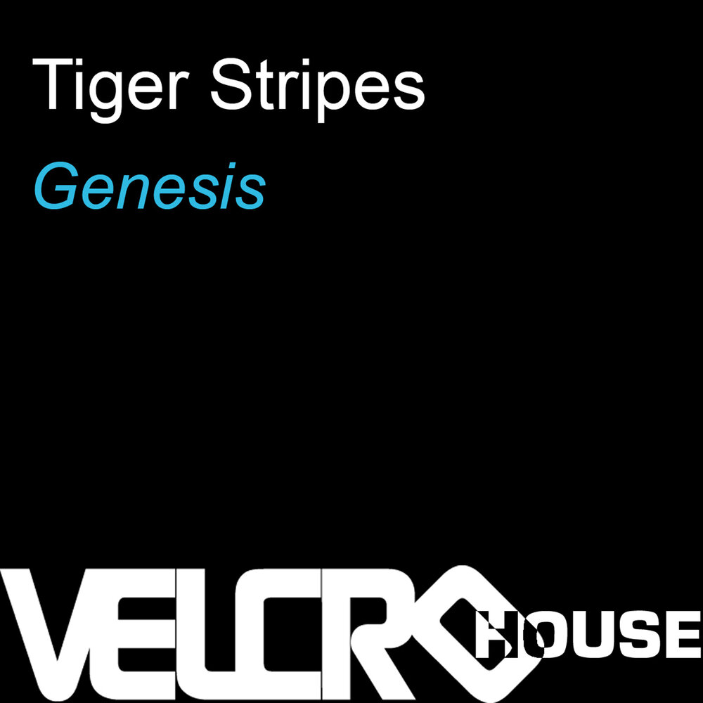 Tiger Stripes диджей. Дж Генезис. Текст песни Genesis.