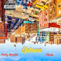 artist-cover