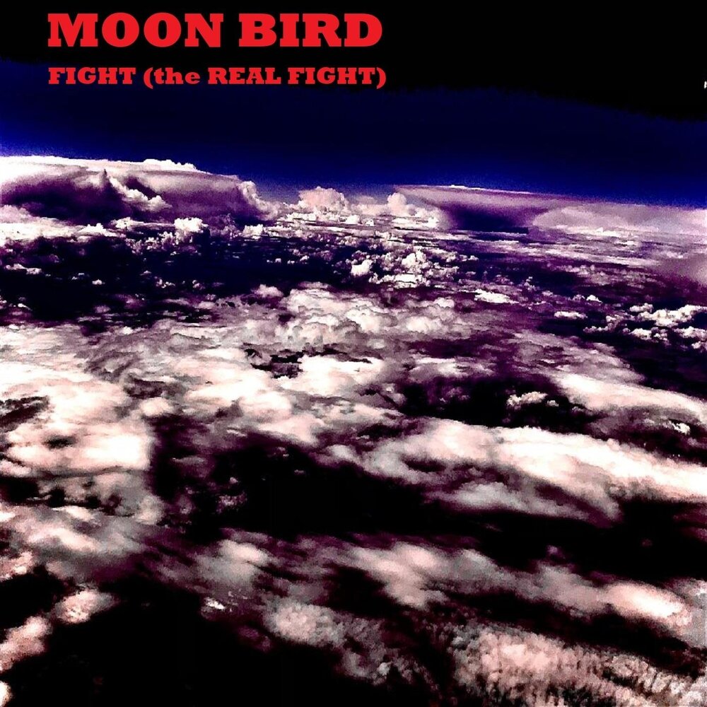 Lunar c исполнитель. луна и птицы.