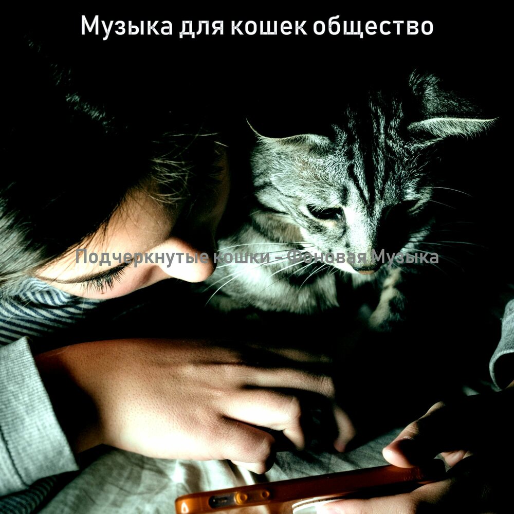 музыка для котят. кошачья музыка для кошки. песни про кошек. музыкальный кот. песни про кота.