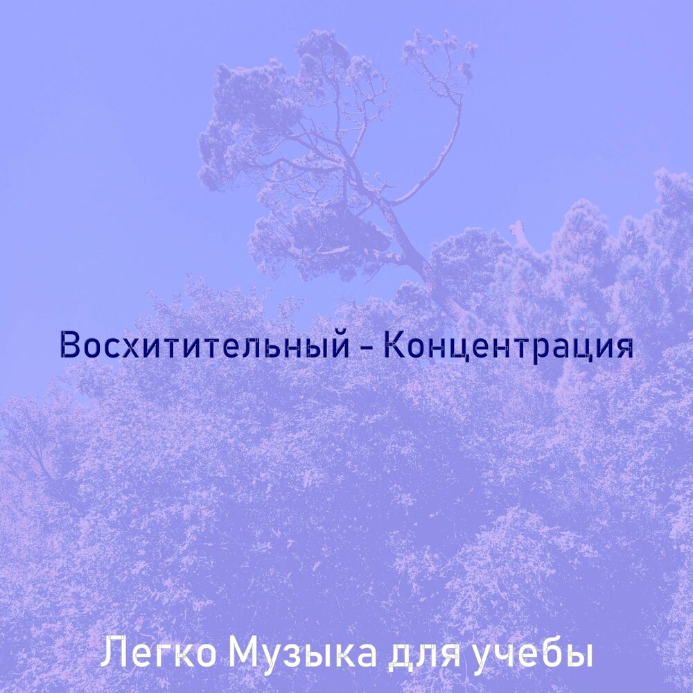 Слушать концентрацию. Музыка для концентрации музыка для сосредоточения. Песня заманчивая слушать. Слушать концентрацию. Слушать концентрацию.