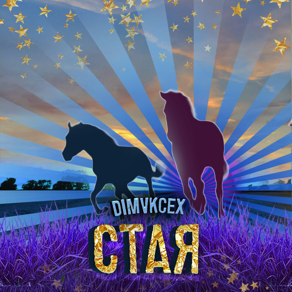 Vavi под. Стиль из стаи. Волки песня. Wastedsky. Группа стая.