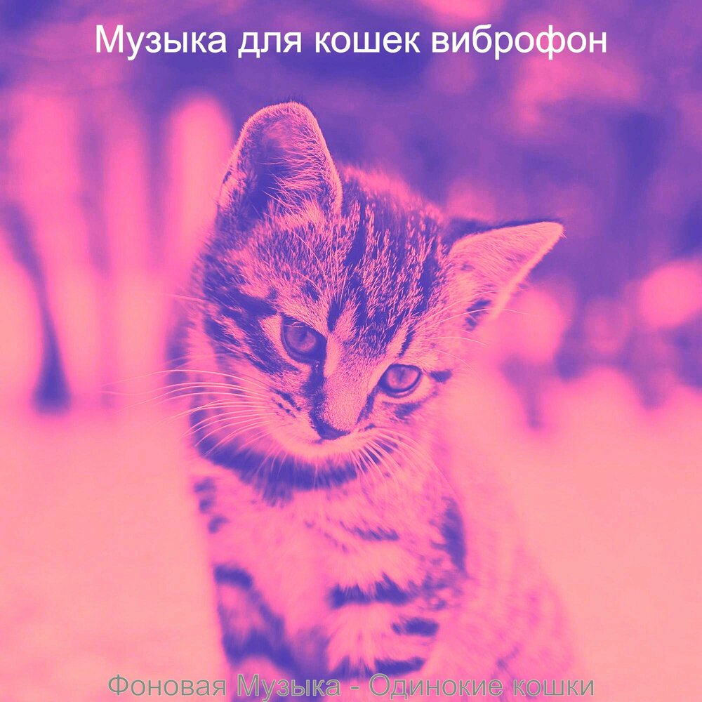 Музыка для кошек слушать