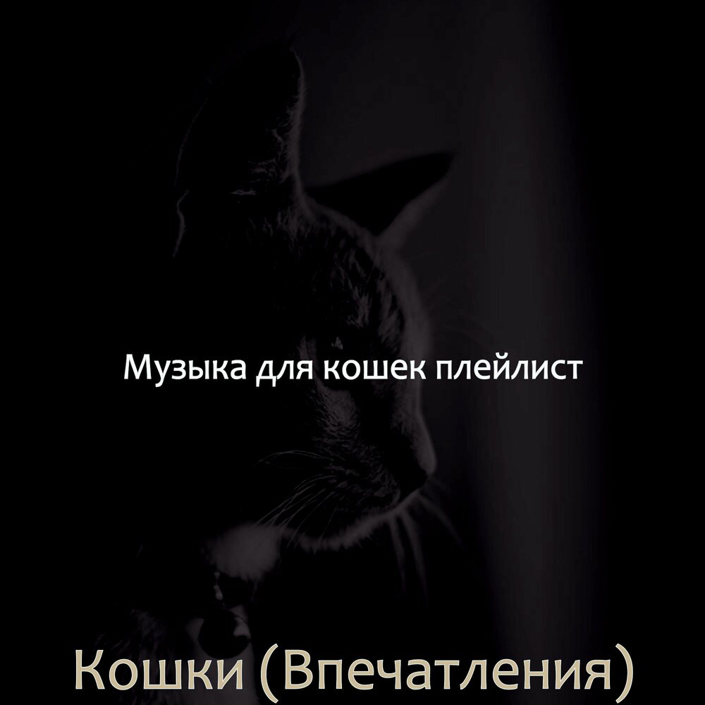 Музыка музыка кошка моя. Музыка музыка кошка моя. Песня про кошечку. Кошки это кошки песня. Музыка для сна кошек.