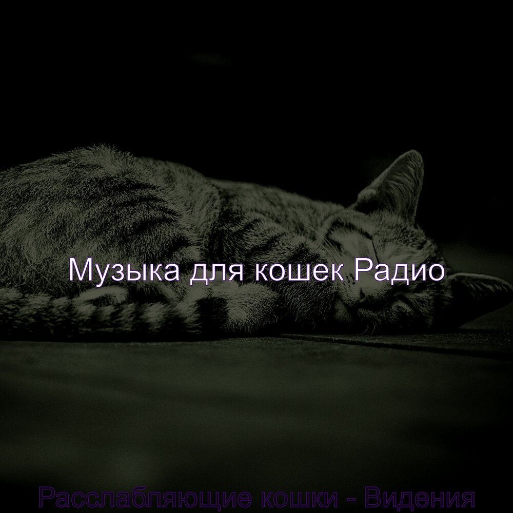 Музыка для котят