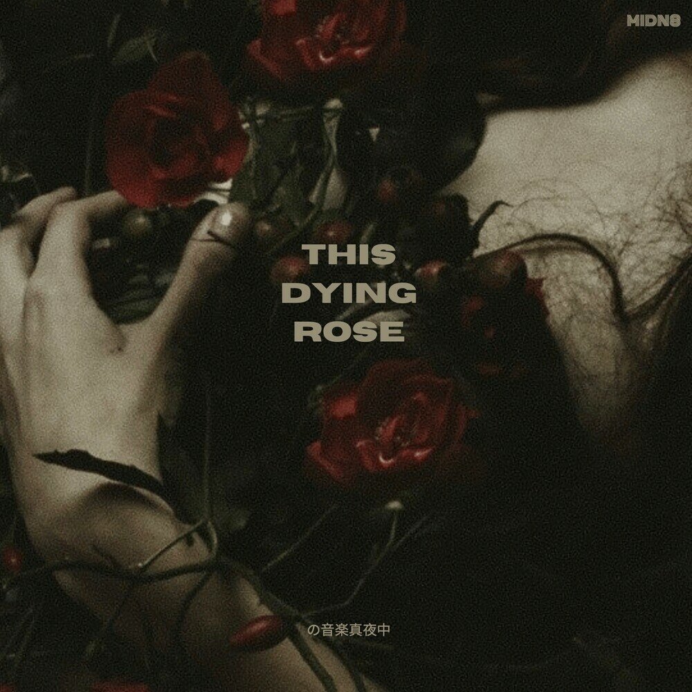 Dying rose