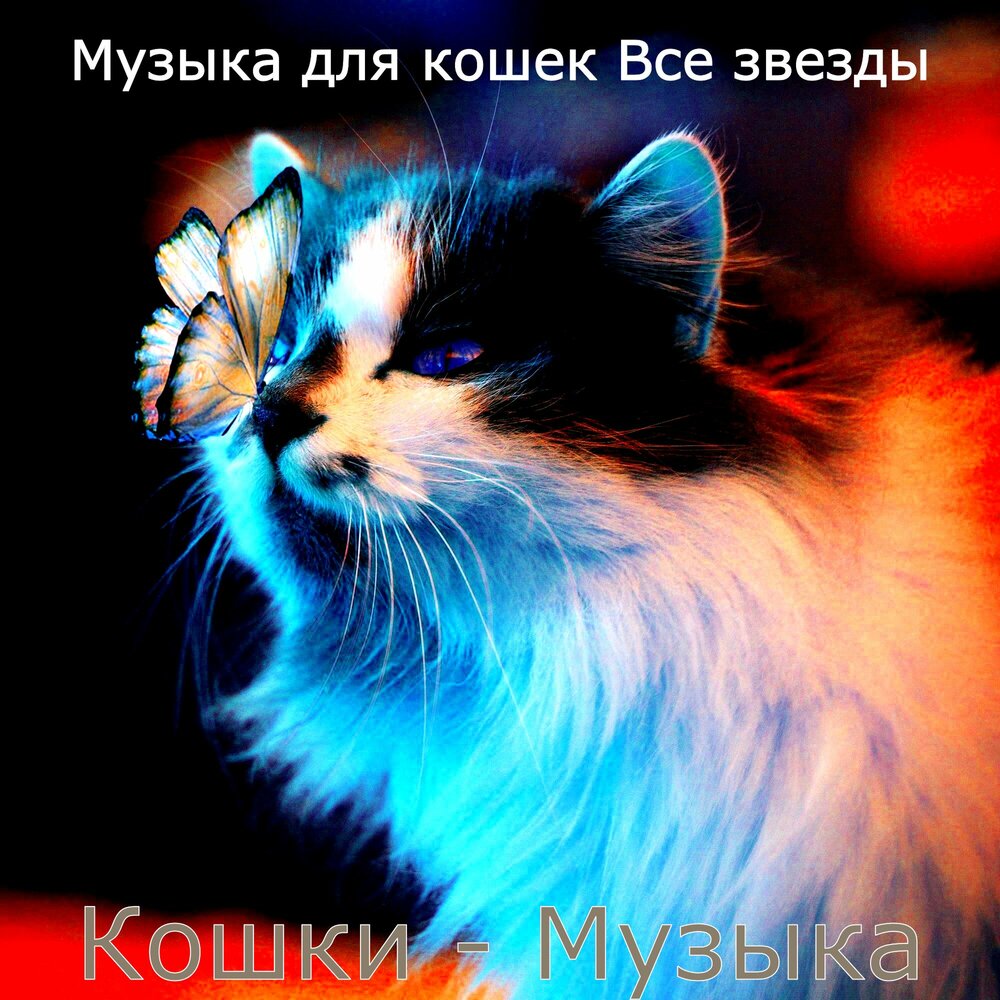 песни про кошек. мелодия для кошек. кошачья музыка для кошки. песня про кошку. кошачья музыка для кошки.