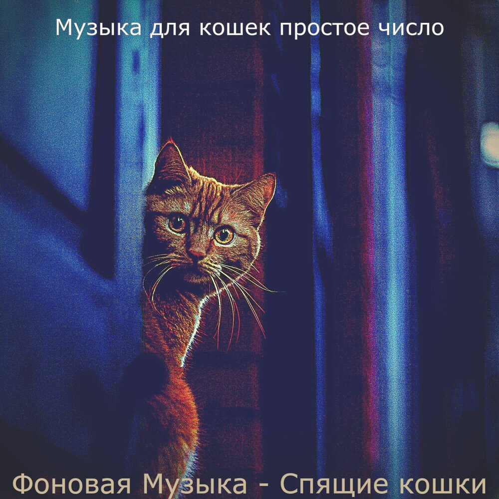 расслабляющая музыка для котят. кошачья музыка для кошки. кошачья музыка для кошки. песня про кошку. песня кошки самые лучшие.