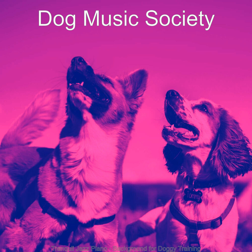 Песня моя собачка одета дороже тебя слушать. Щенки группа музыкальная. Мелодия собак. Собака музыка. Щенки плейлисты.