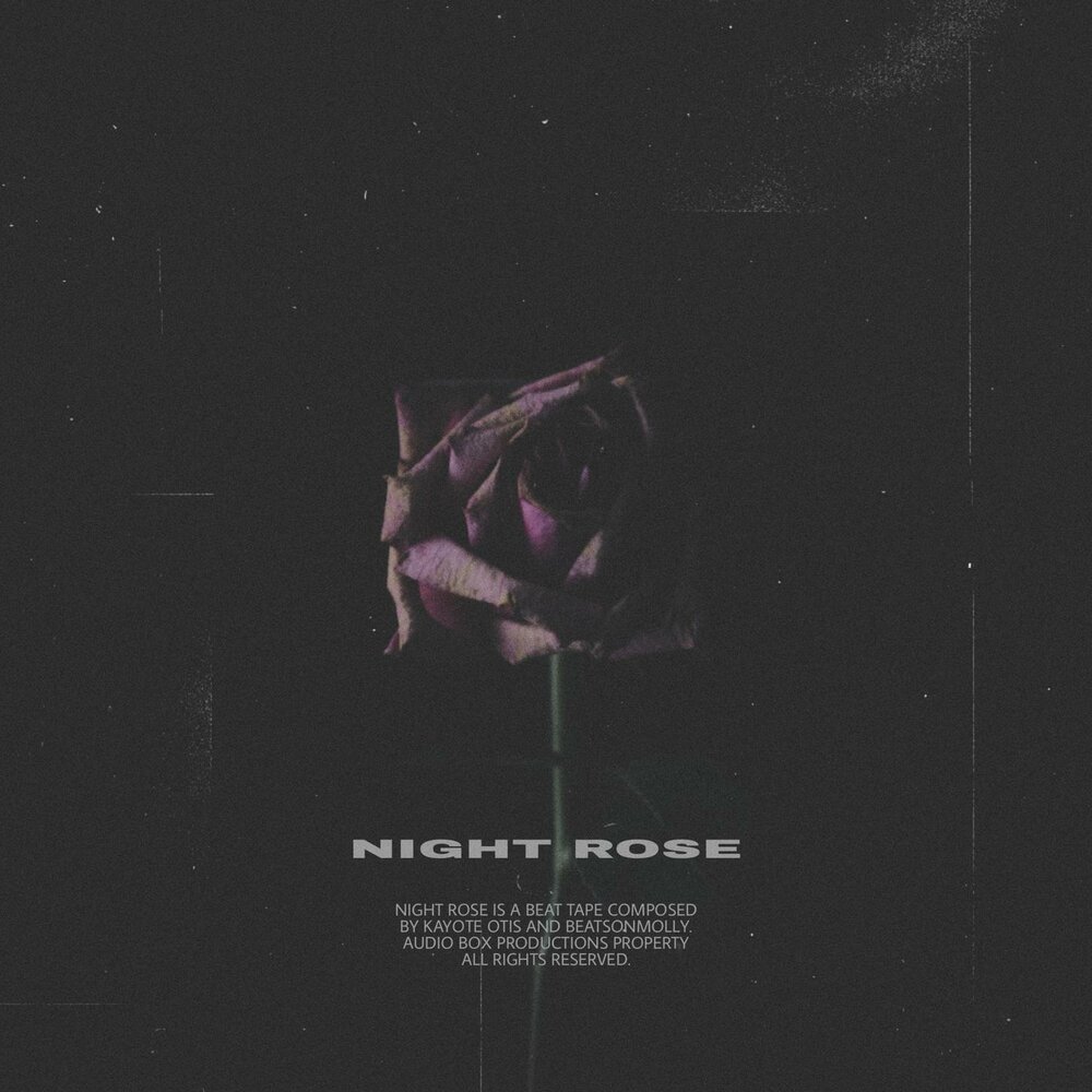 Найт роуз. Night Roses певец. Night Rose. Night Rise. Night Rose trues.