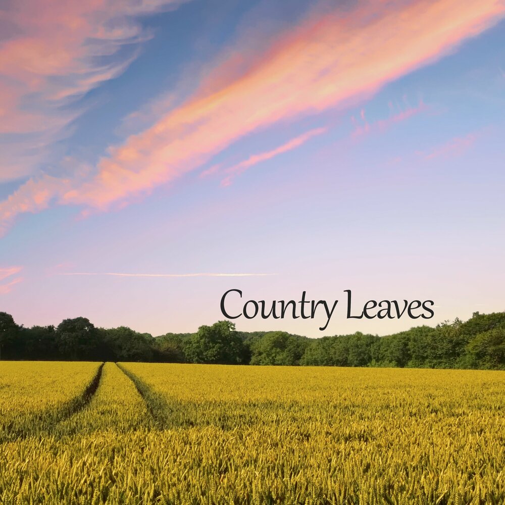 Leave the country. Leave the country. Leave the country. девушка с чемоданом в аэропорту. Leave the country.