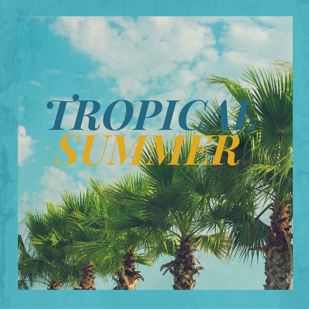Песня тропик. Песня тропик. Песня тропик. Tropical album cover. Альбом песни с тропиками.