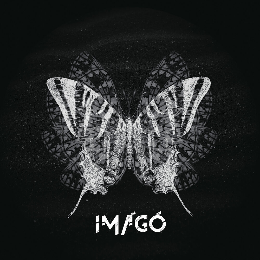 Куок imago обложка. Имаго животное. Имаго фото. Обложка песни имаго. Обложка песни the wolf.