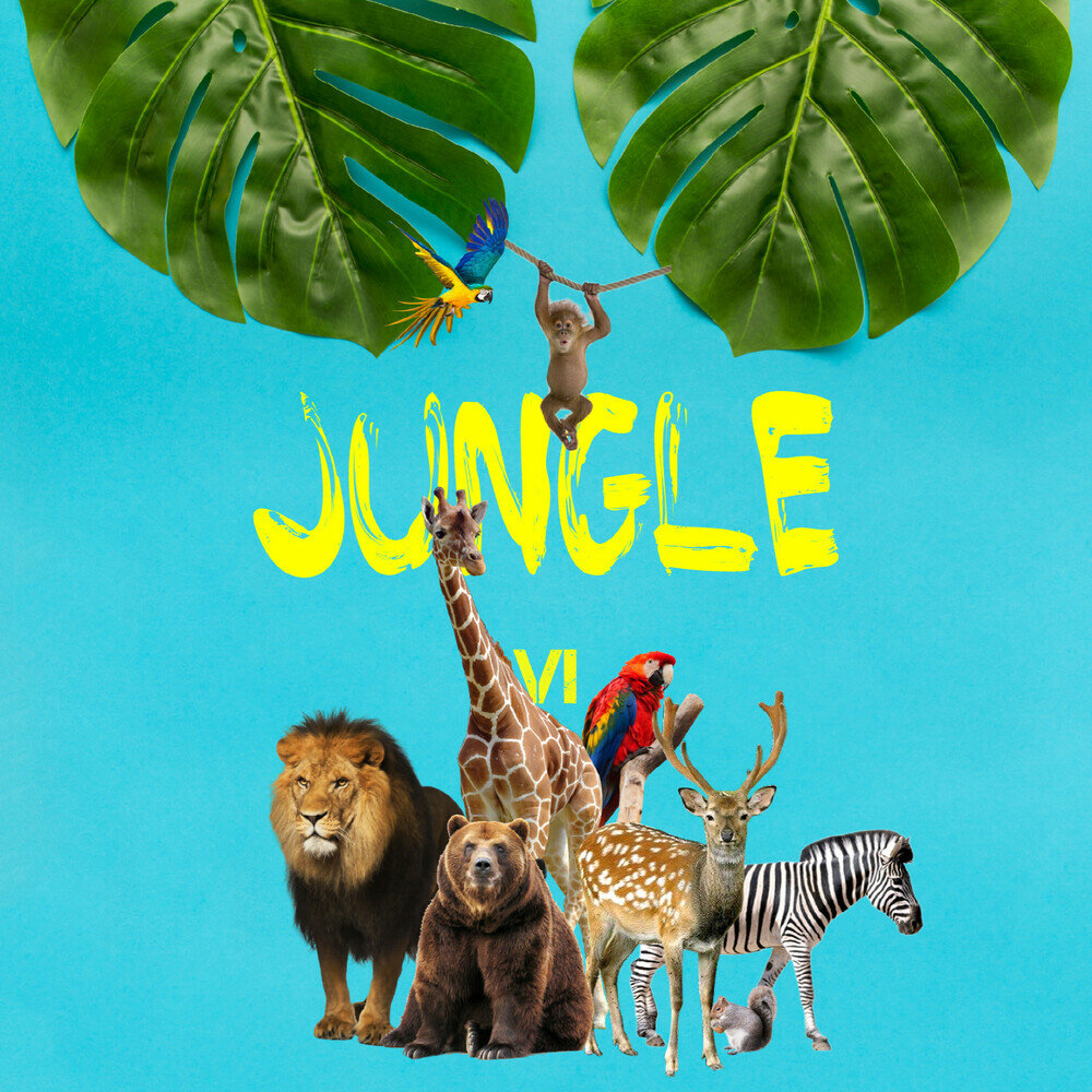 Jungle remix