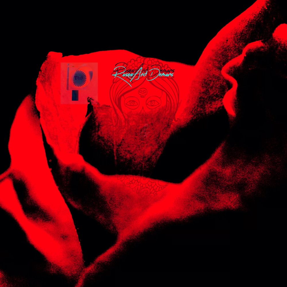 Блэк веном. Venom black metal lp. Группа blackpink 2022. Pink venom. Venom inc группа.