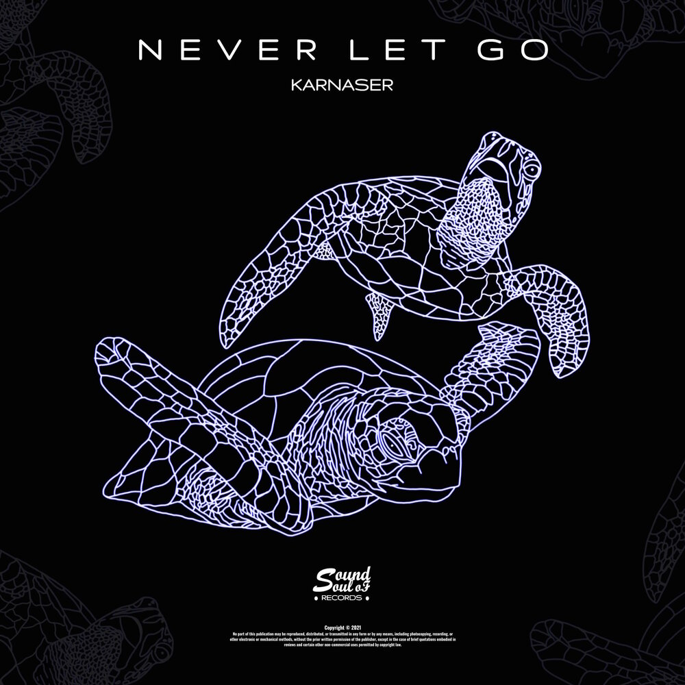Never letting go record mix. Never letting go record mix